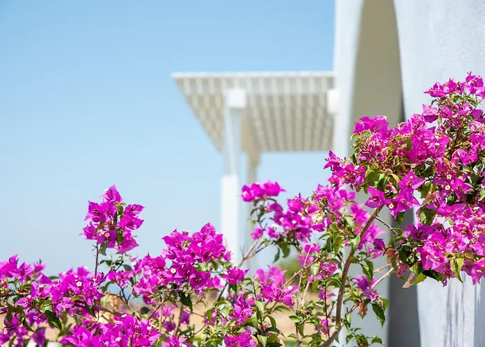 Vagianou Thea Bianco * Vívlos